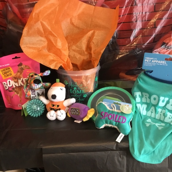 Halloween Boo Bucket for a small Dog - Picture 2 of 7